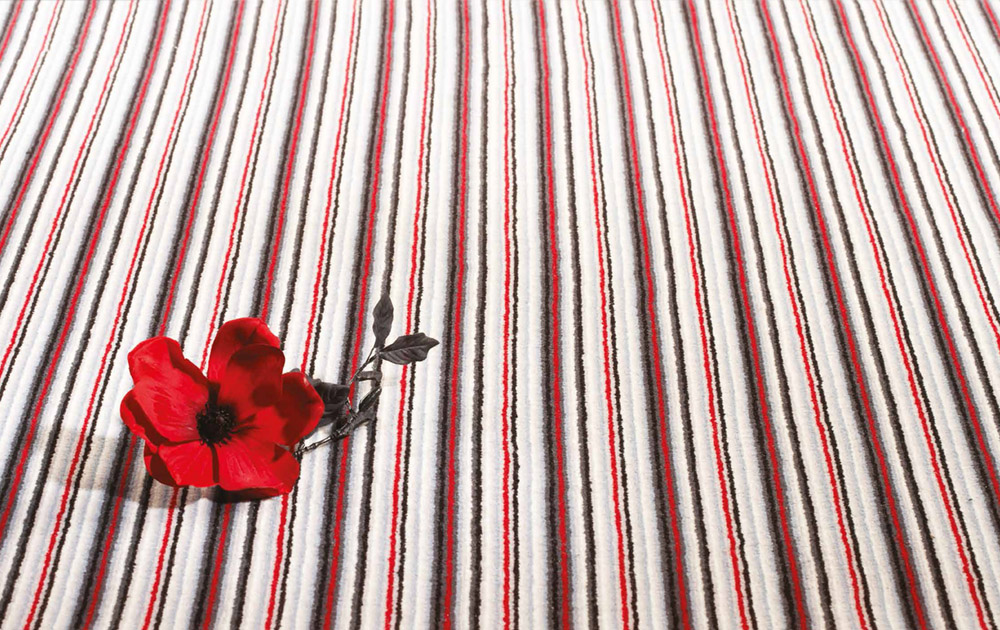 Carpet Flooring Exeter